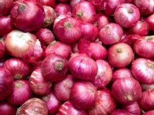 Oignons