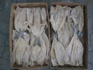 Poisson salé