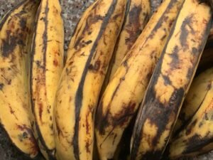 Banane plantain (tas)