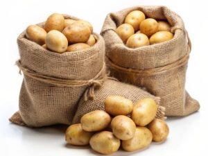 Pomme de terre